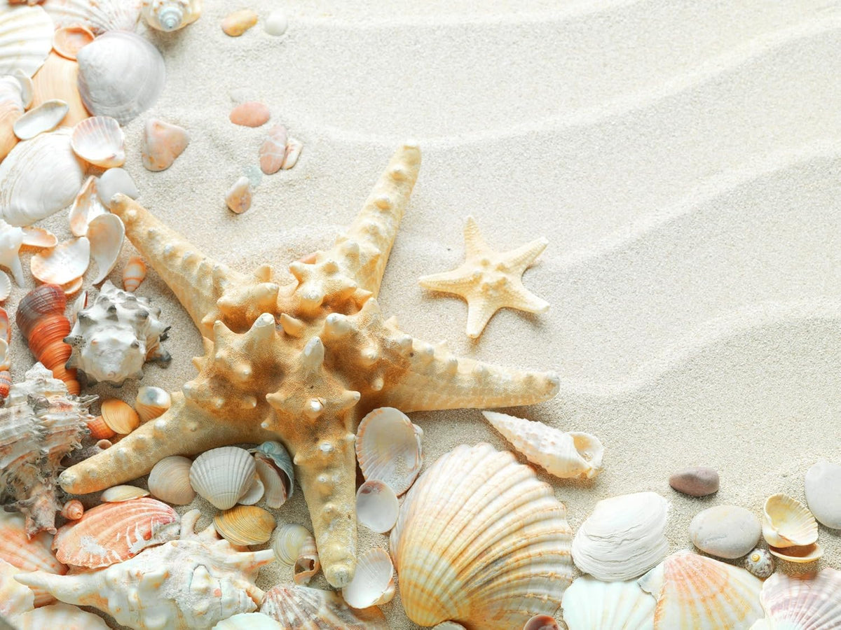 White Craft Sand for Arts, Crafts & Decorative Projects