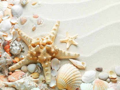White Craft Sand for Arts, Crafts & Decorative Projects